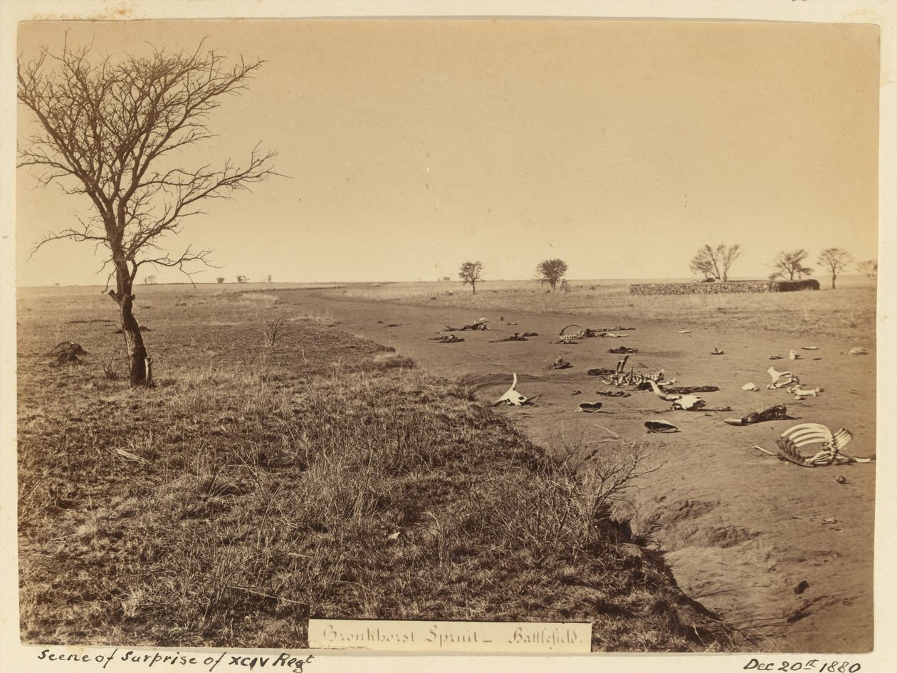 Xciv रेजिमेंट के आश्चर्य का दृश्य , 1881 द्वारा अज्ञात