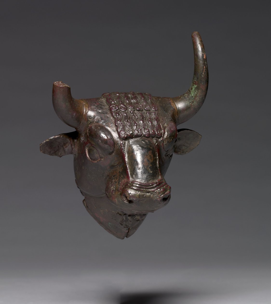 बुल हेड अटैचमेंट, c.700-600 ईसा पूर्व (कांस्य) द्वारा Urartian