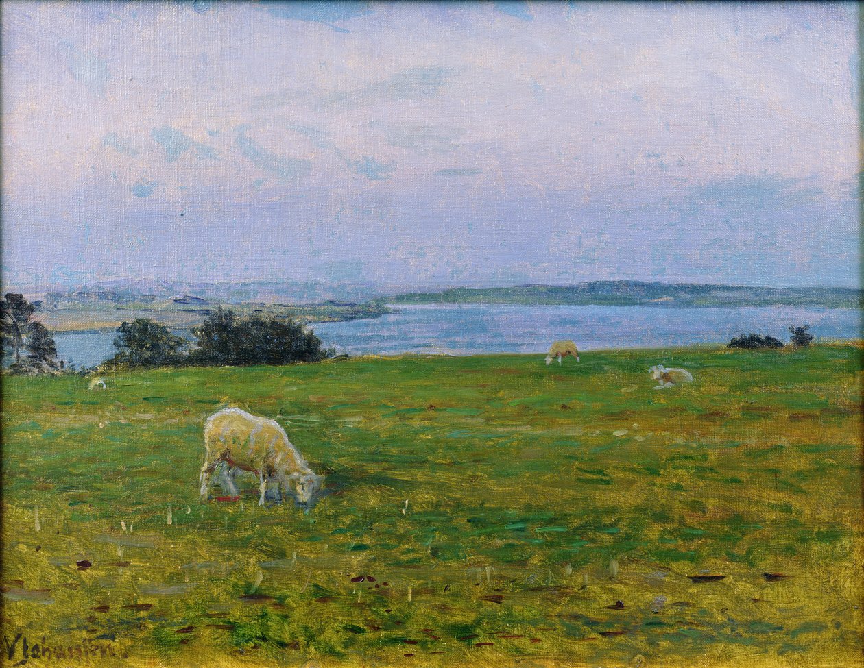 भेड़ चराई, Osterby, Skagen द्वारा विगगो जोहानसेन