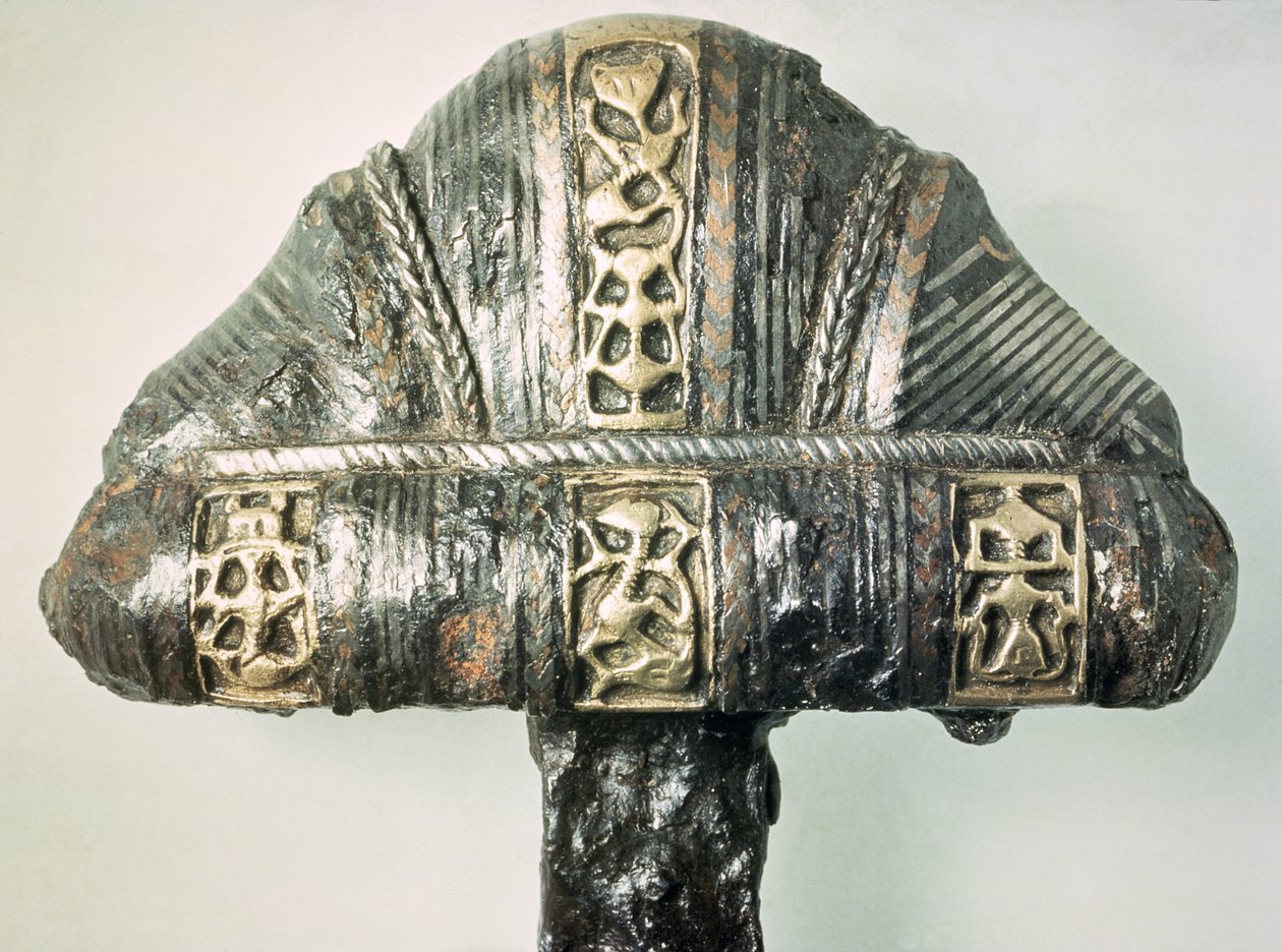  द्वारा वाइकिंग