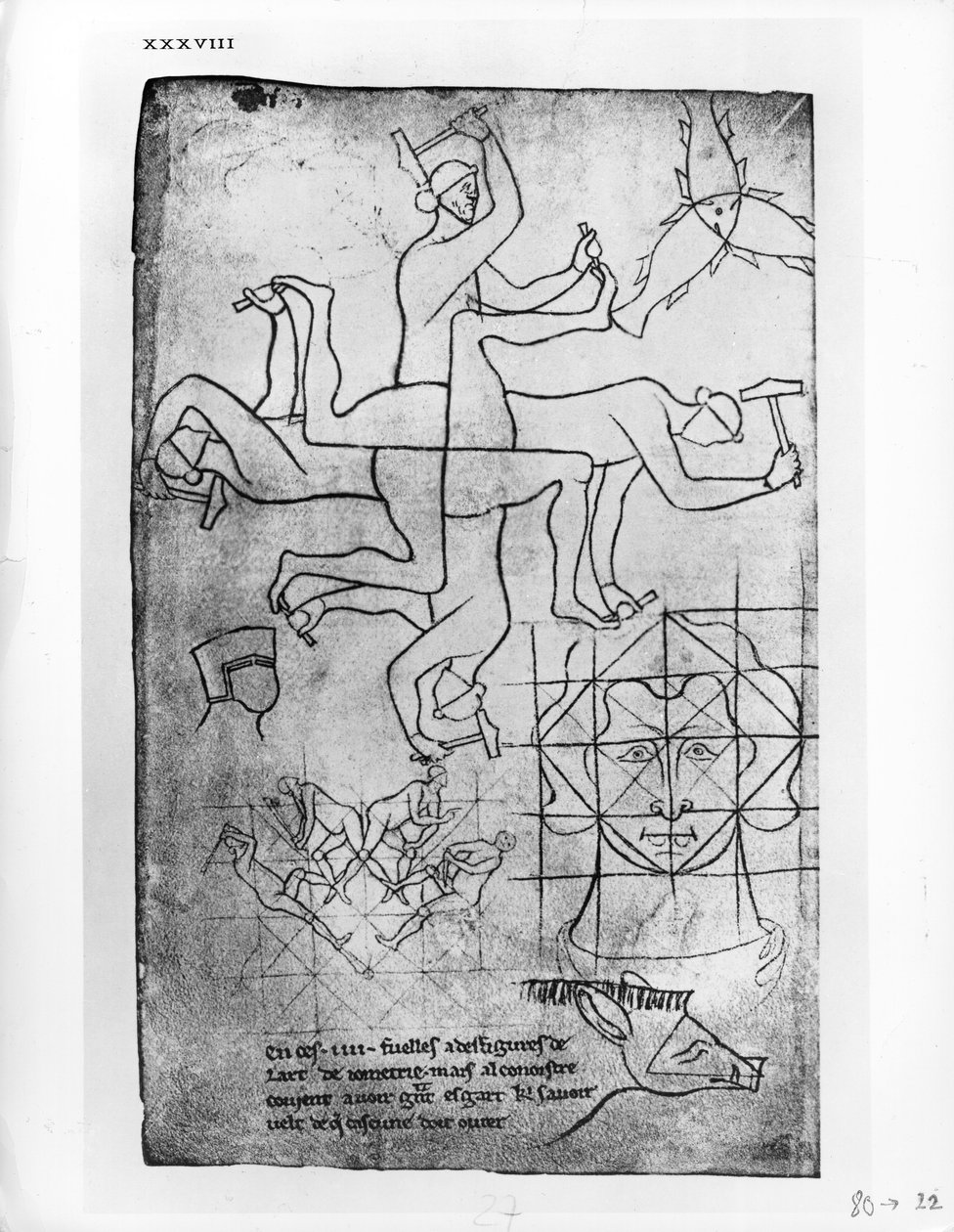 सुश्री फ्र 19093 fol.19v पुरुषों और जानवरों के अध्ययन की प्रतिकृति प्रतिलिपि द्वारा विलार्ड डी होन्नेकोर्ट