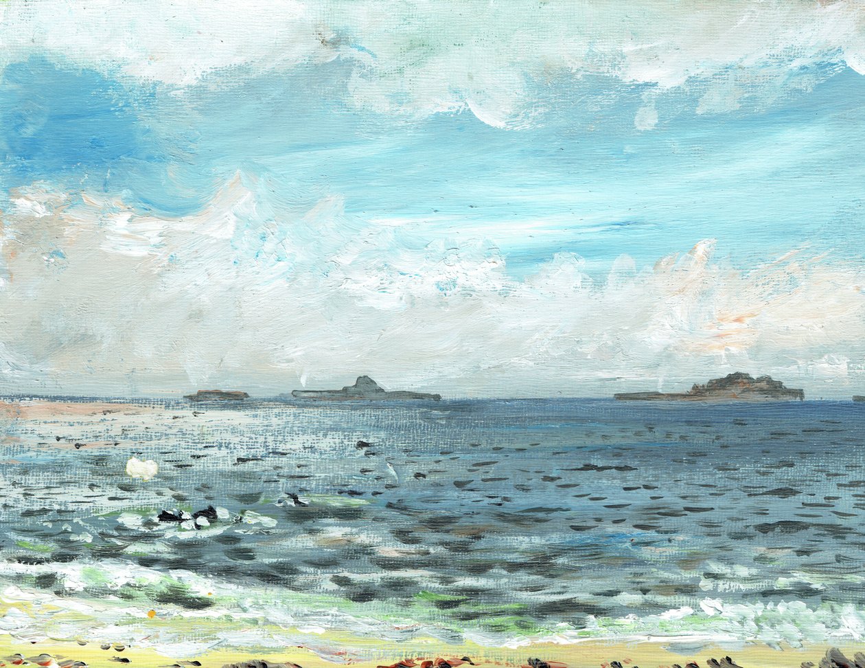 Iona समुद्र तट, 2007 (कैनवास बोर्ड पर एक्रिलिक) द्वारा विंसेंट अलेक्जेंडर बूथ