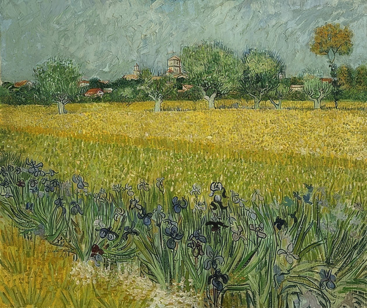 Arles के पास irises के साथ फ़ील्ड। मई 1888 द्वारा विन्सेंट वैन गॉग