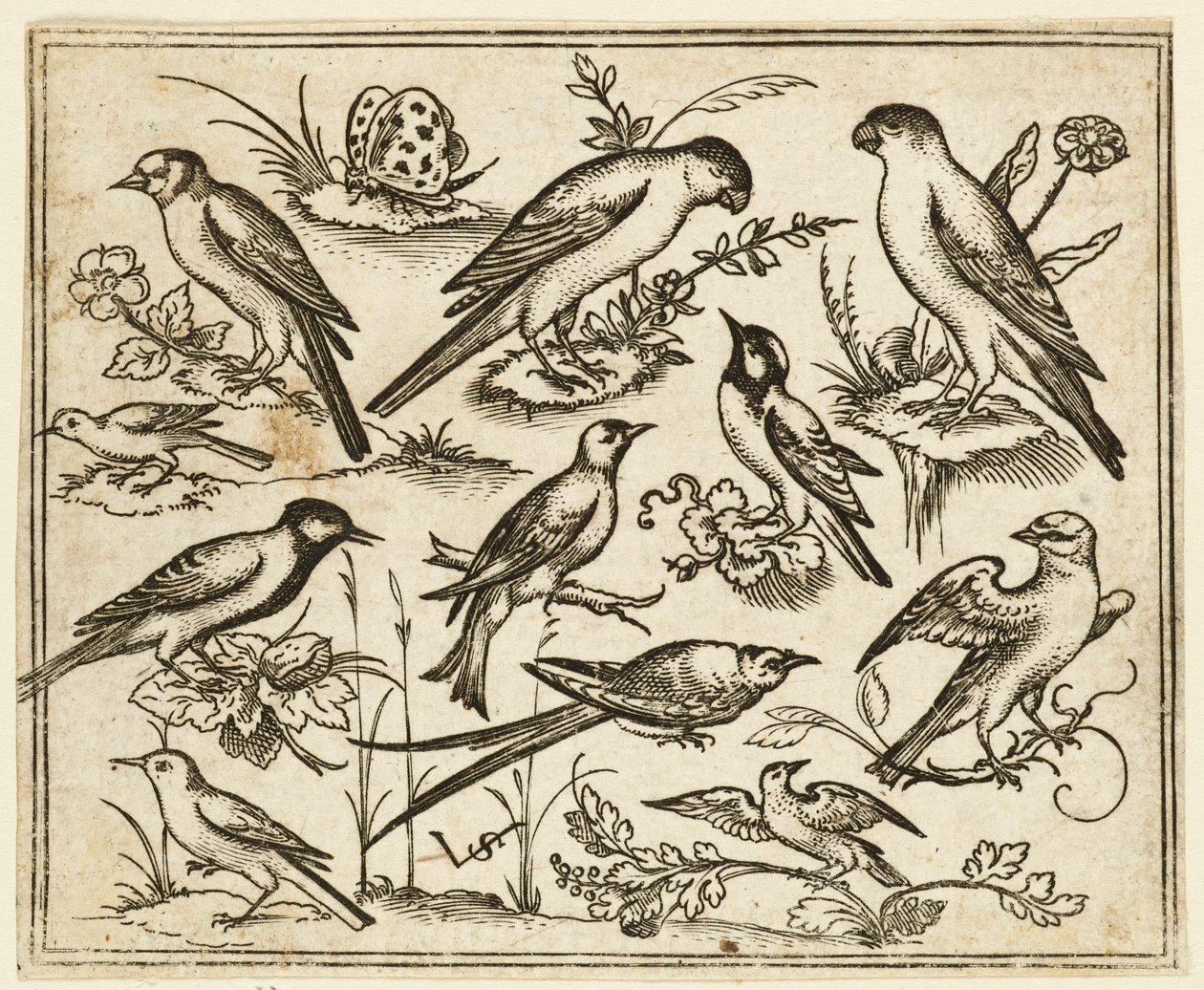 फूलों की पत्तियों और छोटी शाखाओं पर बैठे ग्यारह पक्षी..., 1557। द्वारा वर्जिल सोलिस
