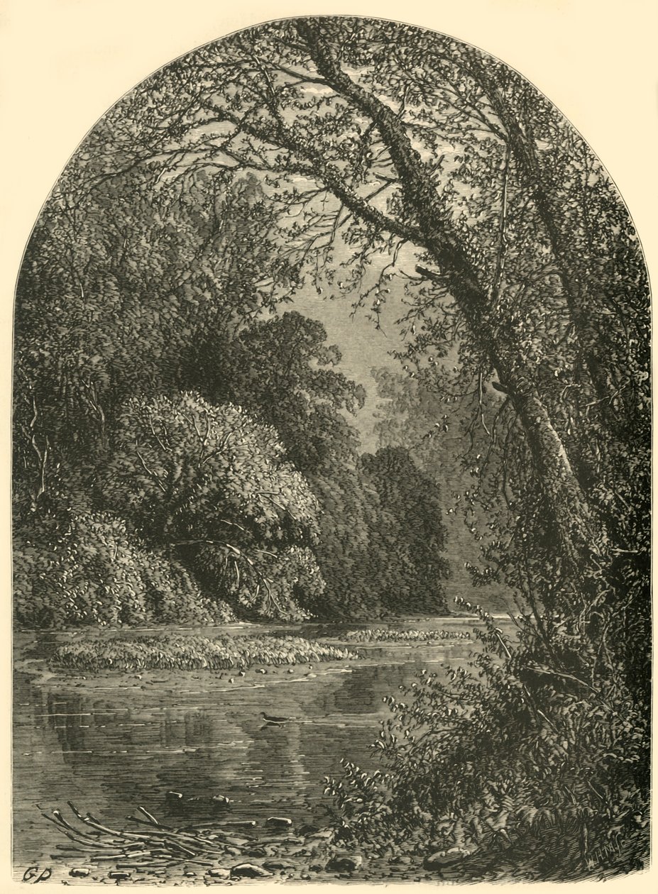 मॉस आइलैंड्स, जूनियाटा में, 1874। द्वारा डब्ल्यूएच मोर्स