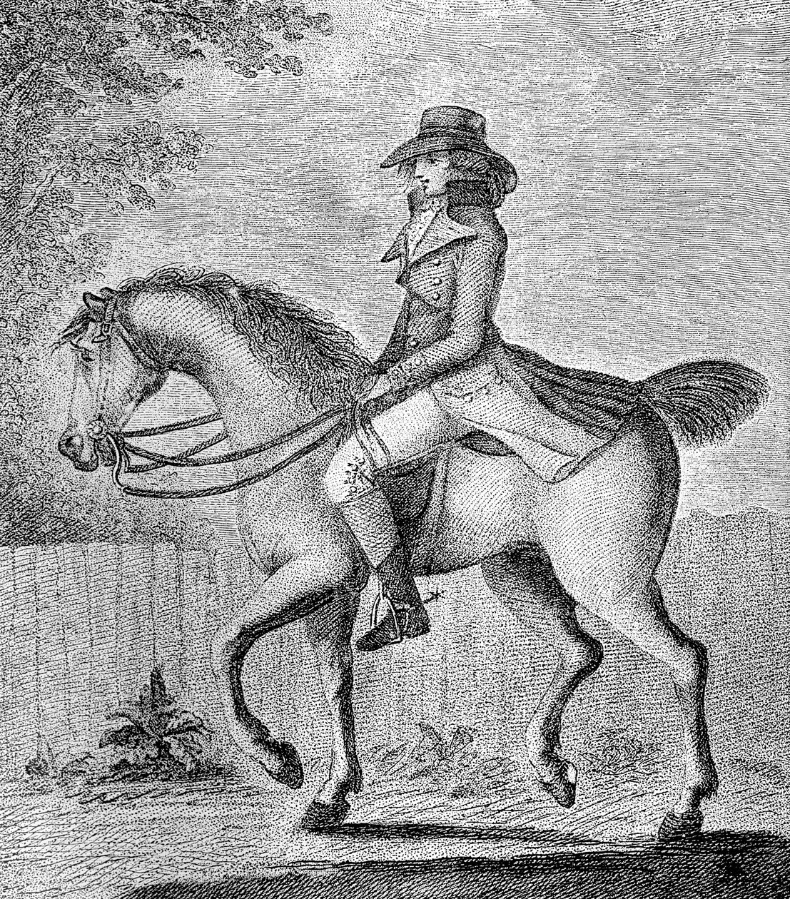 द मिस्टेकन धारणा, 1789। द्वारा डब्ल्यू। डिकिंसन