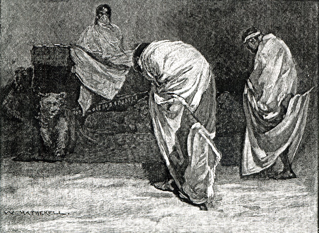 सम्राट थियोडोर ने 1866 में &39;कैसल्स इलस्ट्रेटेड हिस्ट्री ऑफ़ इंग्लैंड&39; से दर्शकों को अनुदान दिया द्वारा डब्ल्यू। हैदरेल