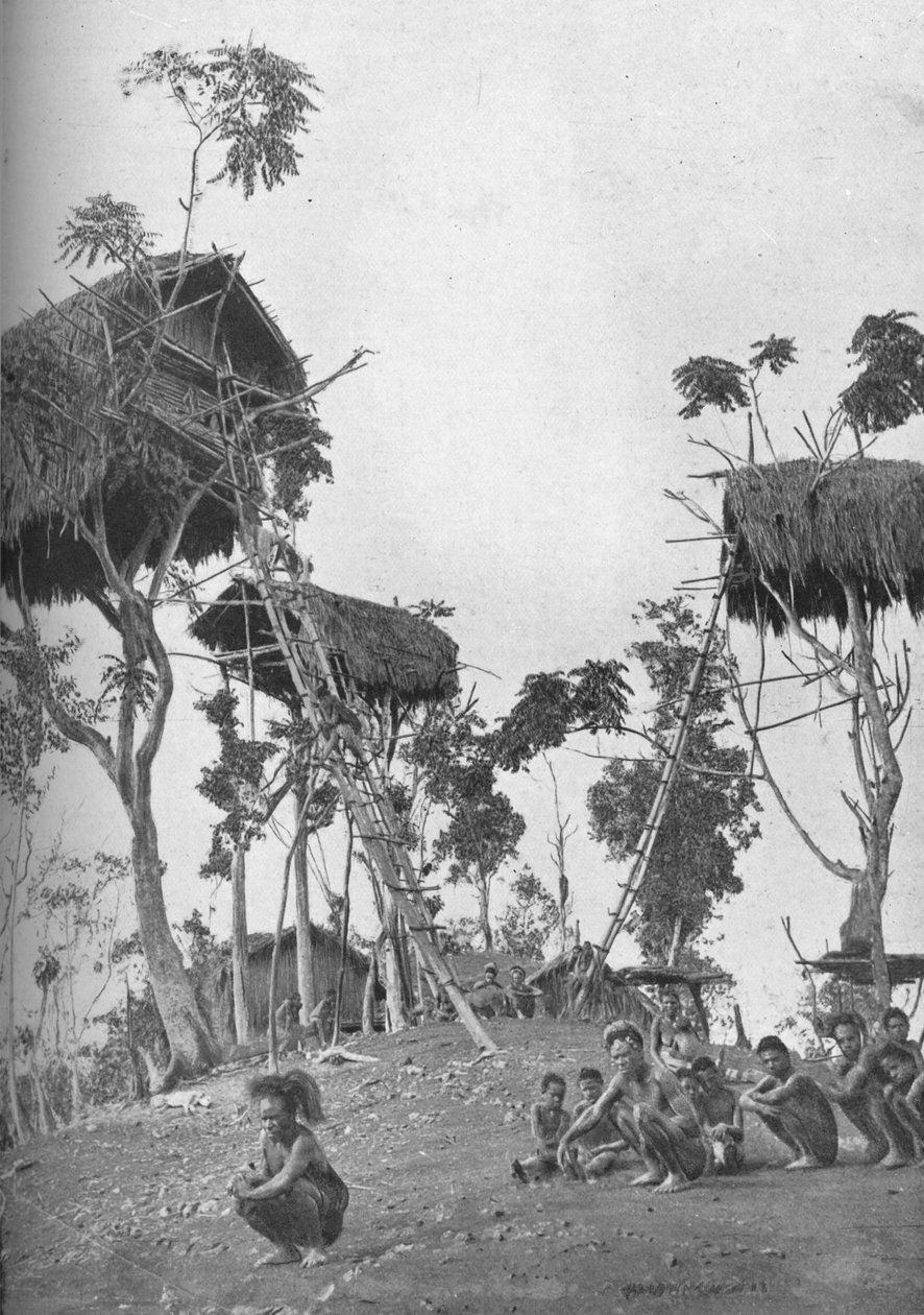 डोबोस, 1902 में मेलनेशिया में अविवाहित महिलाओं के लिए ट्री हाउस द्वारा डब्ल्यू। लिंड्ट