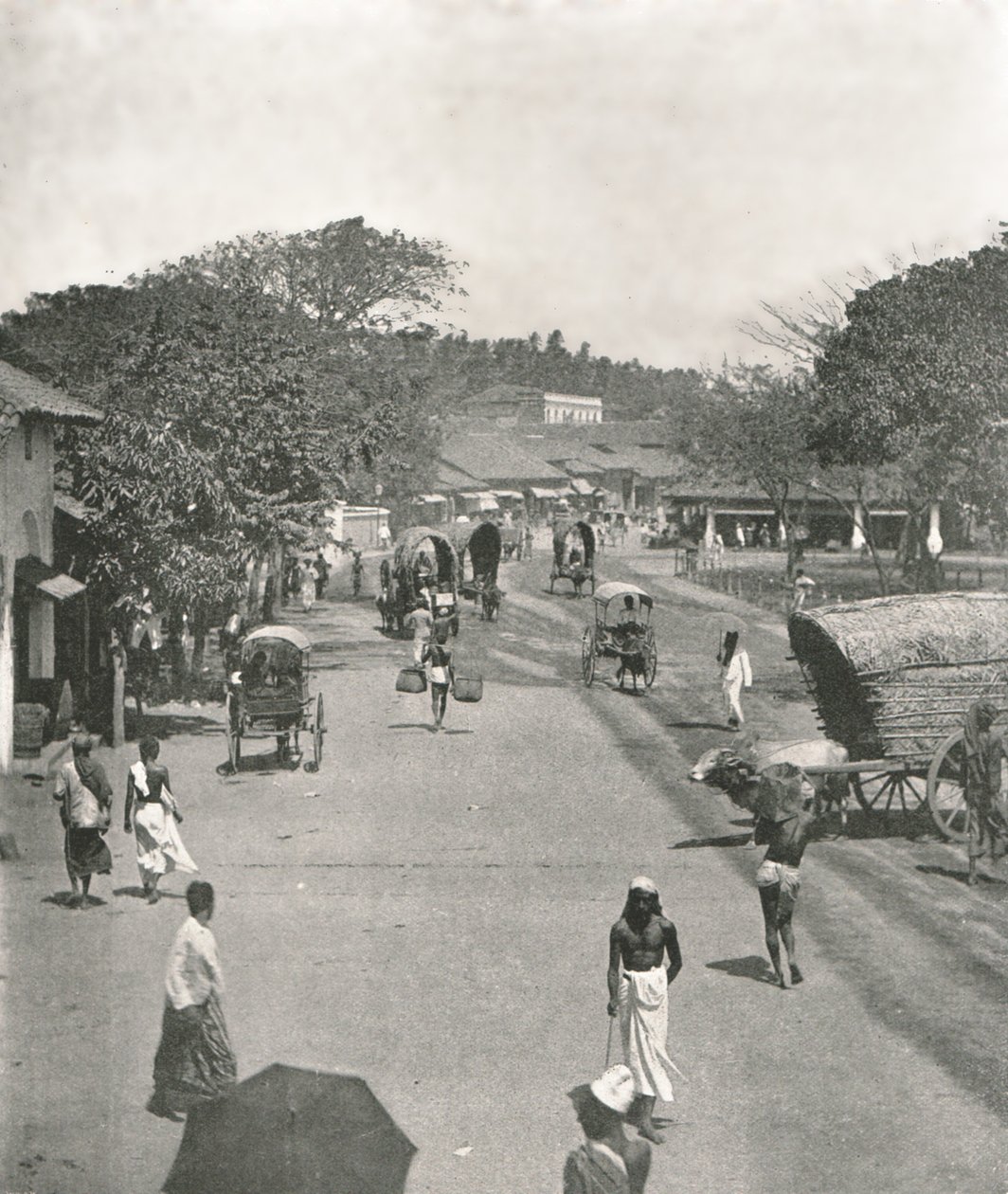 1895 में टाउन हॉल, कोलंबो, सीलोन के पास सड़क का दृश्य। द्वारा डब्ल्यू एंड एस लिमिटेड