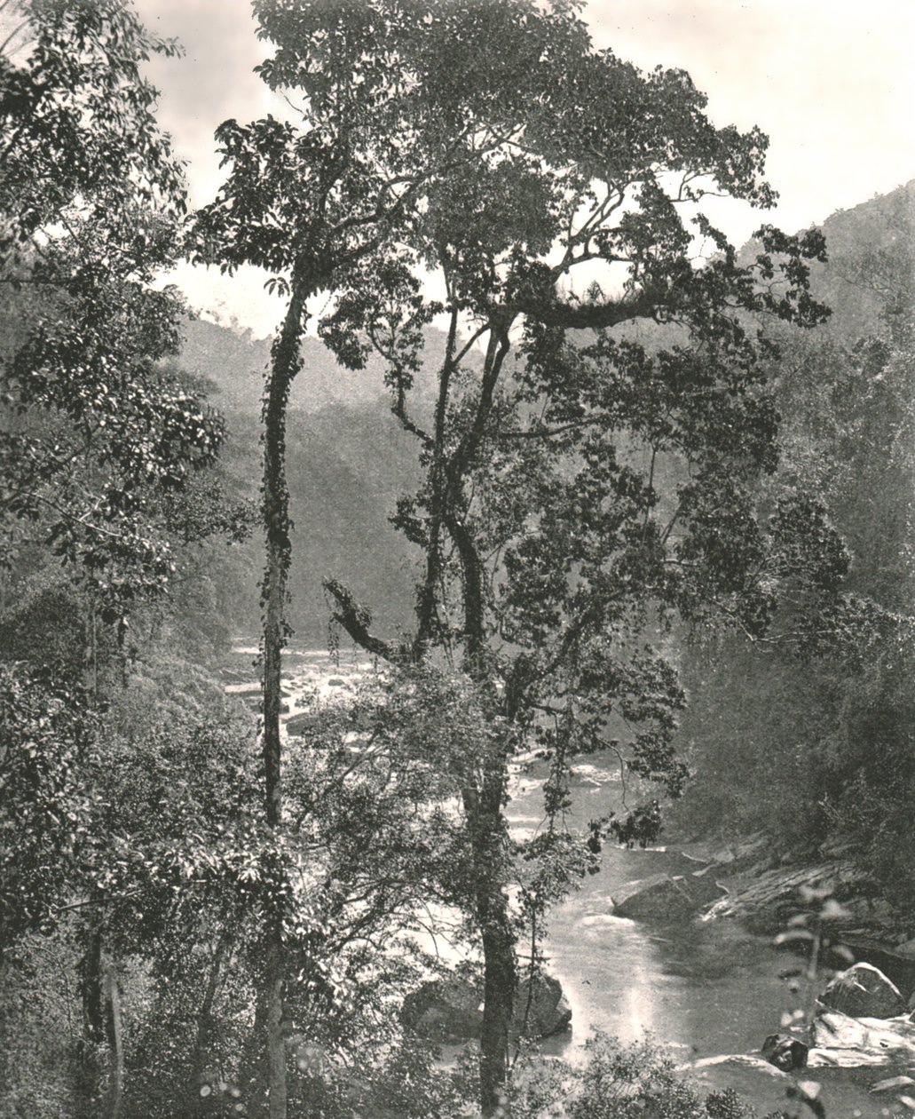 केलानी नदी, कुरुनगला, सीलोन का दृश्य, 1895। द्वारा डब्ल्यू एंड एस लिमिटेड