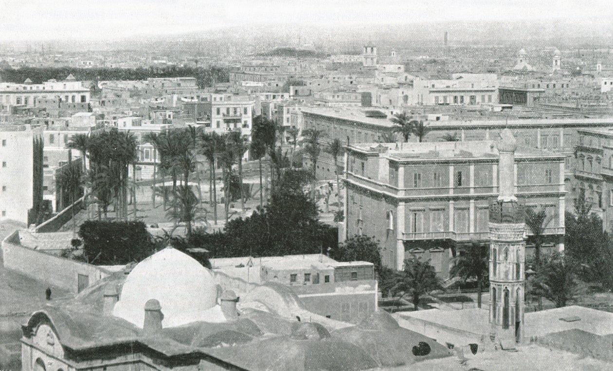 अलेक्जेंड्रिया शहर का दृश्य, 1895। द्वारा डब्ल्यू एंड एस लिमिटेड
