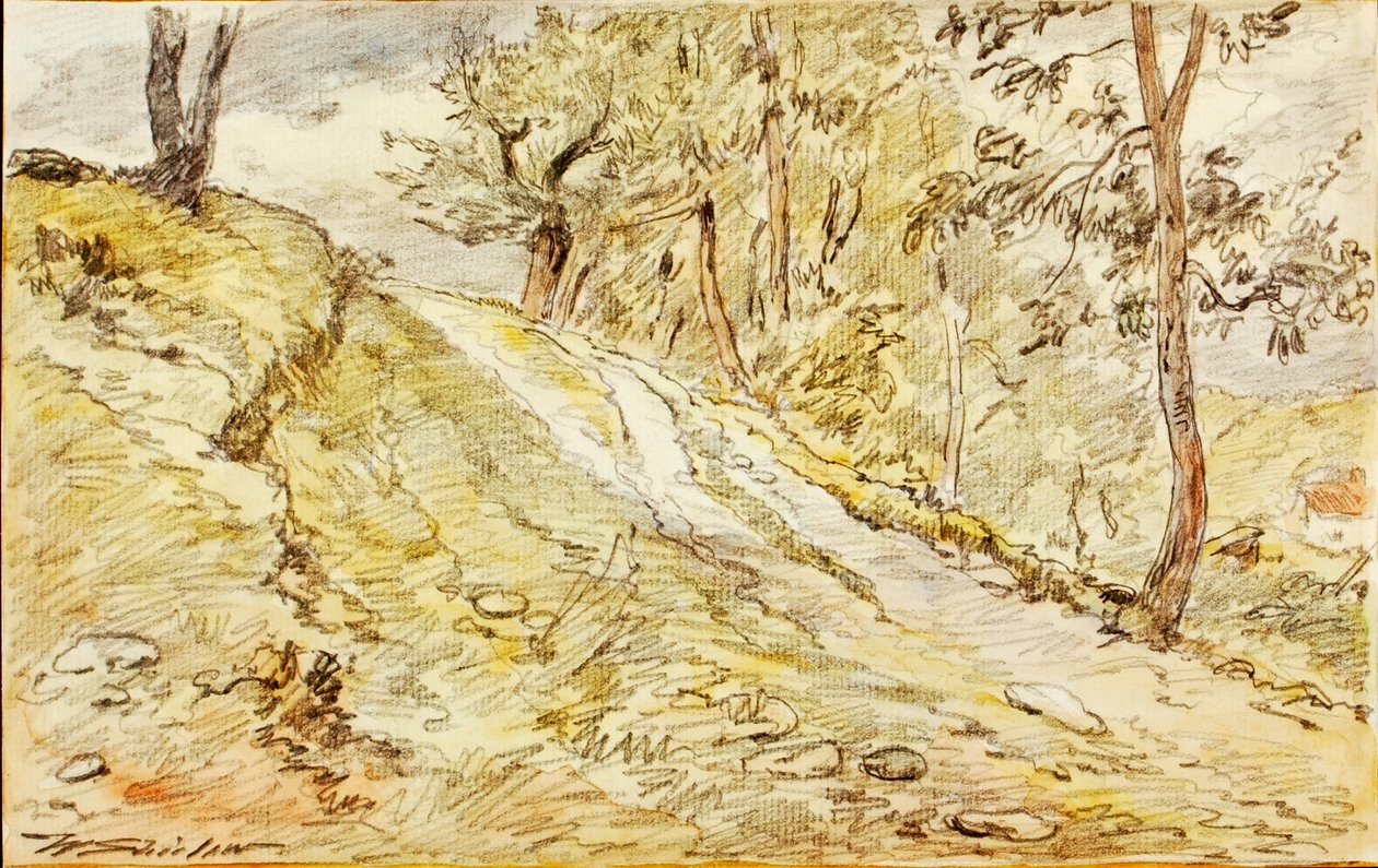  द्वारा वाल्टर शिरलाव