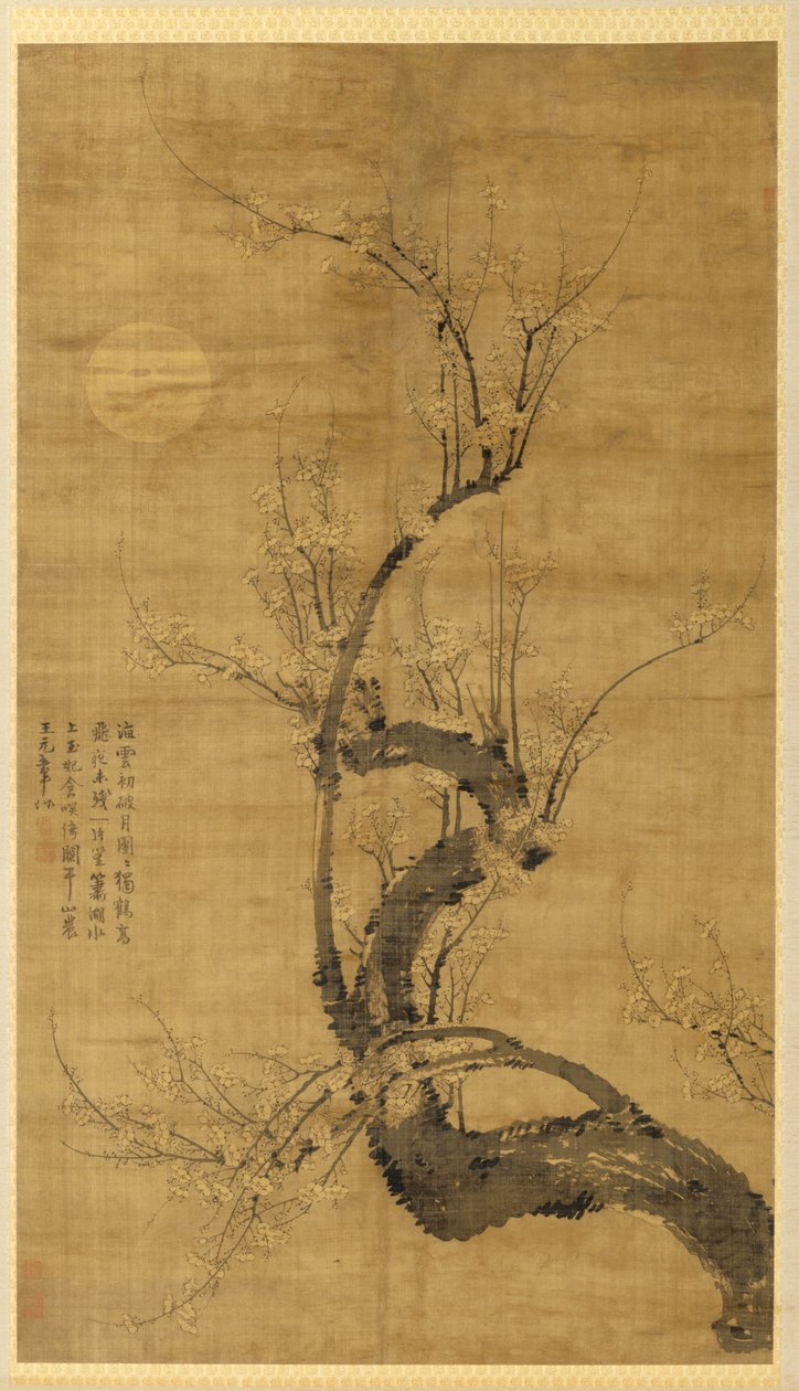चांदनी में एक Prunus, 1300s। द्वारा वांग मियां