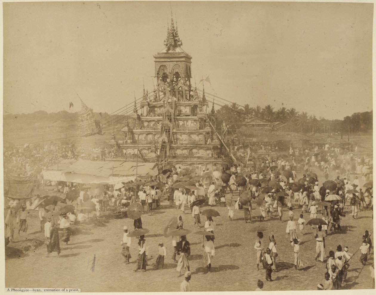 द्वारा वत्स और स्कीन