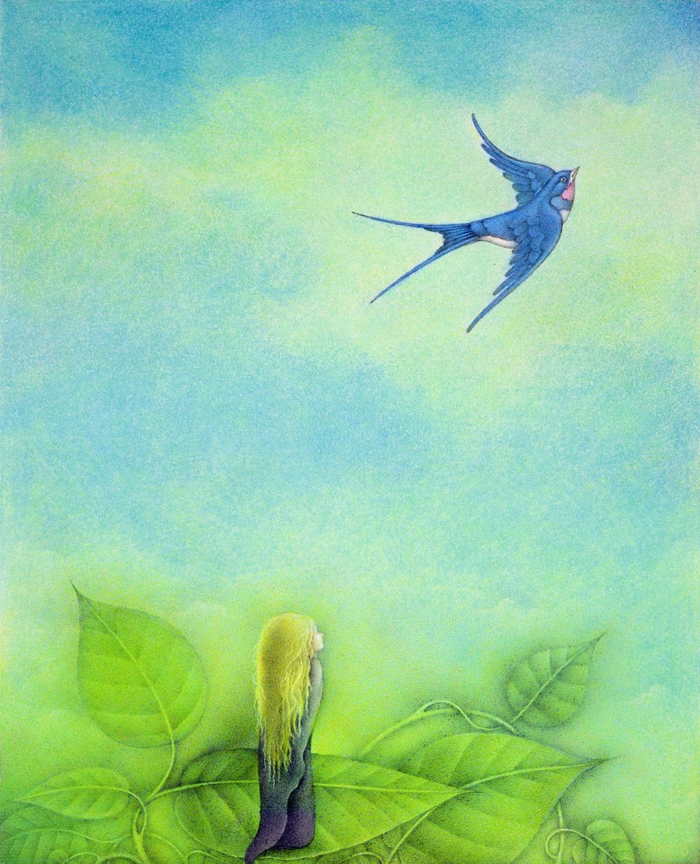  द्वारा वेन एंडरसन