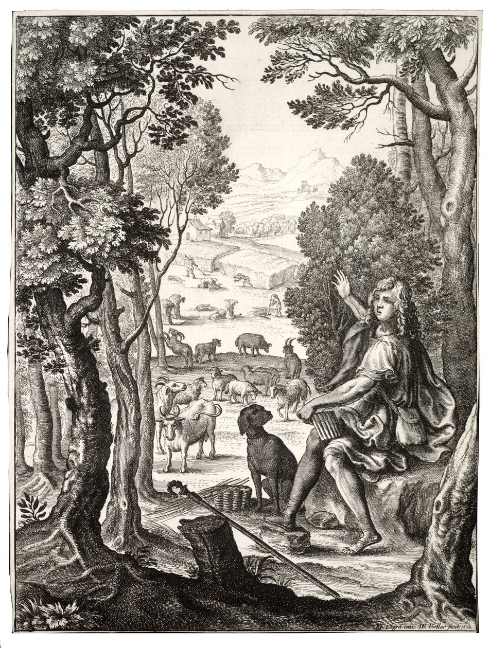 एलेक्सिस द्वारा Wenceslaus Hollar