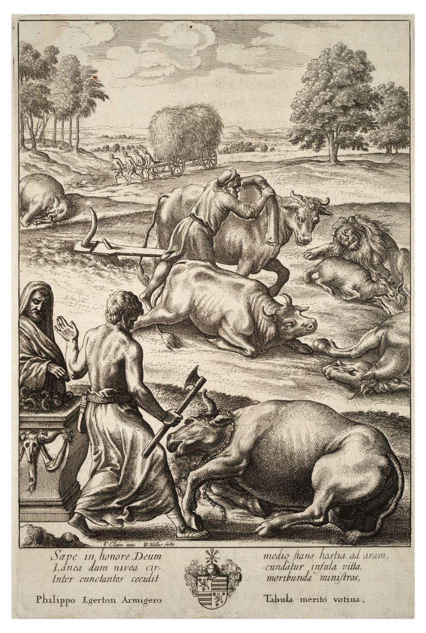मवेशी प्लेग। राज्य २ द्वारा Wenceslaus Hollar