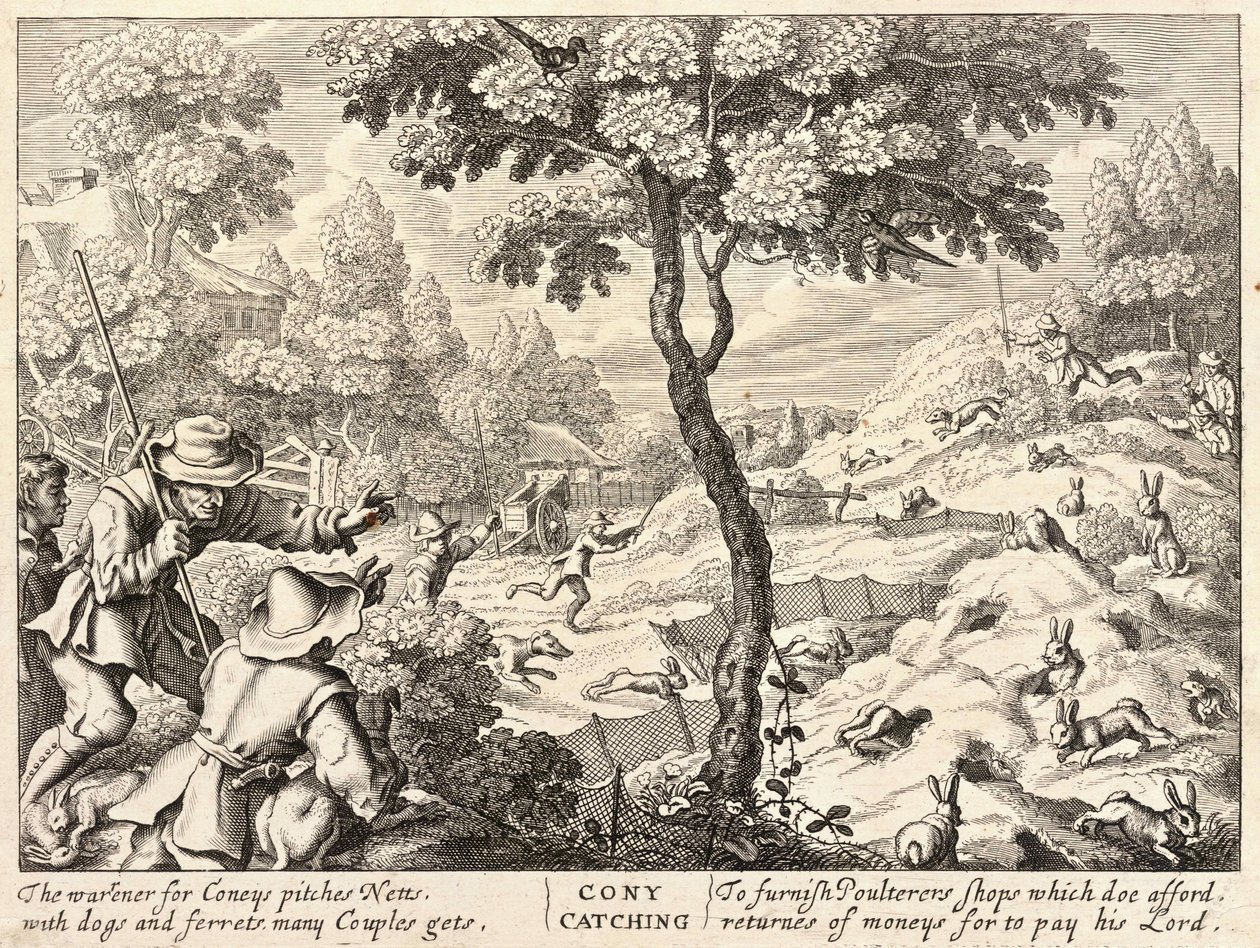 कोनी पकड़ना द्वारा Wenceslaus Hollar