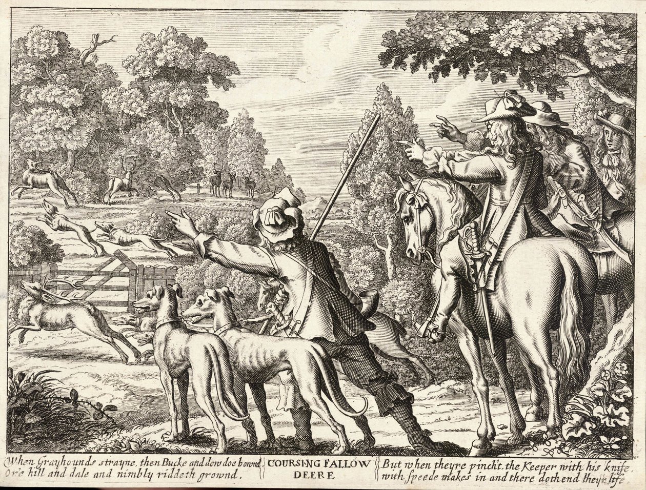 परती परती हिरण द्वारा Wenceslaus Hollar