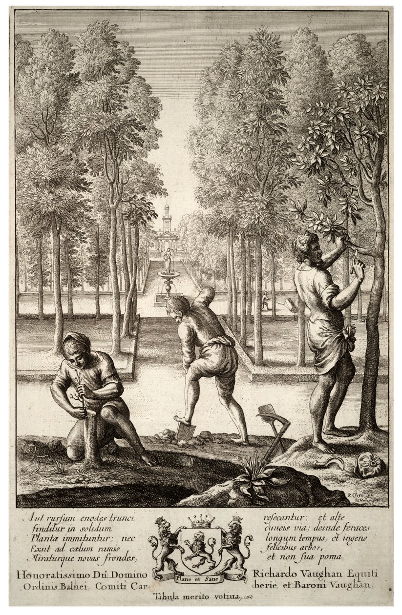 बागवानी। राज्य १ द्वारा Wenceslaus Hollar