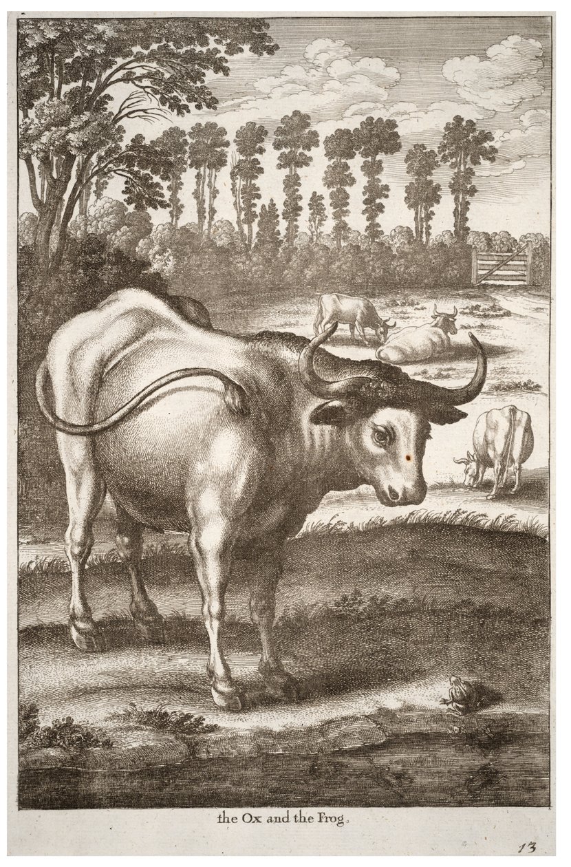 बैल और मेंढक द्वारा Wenceslaus Hollar
