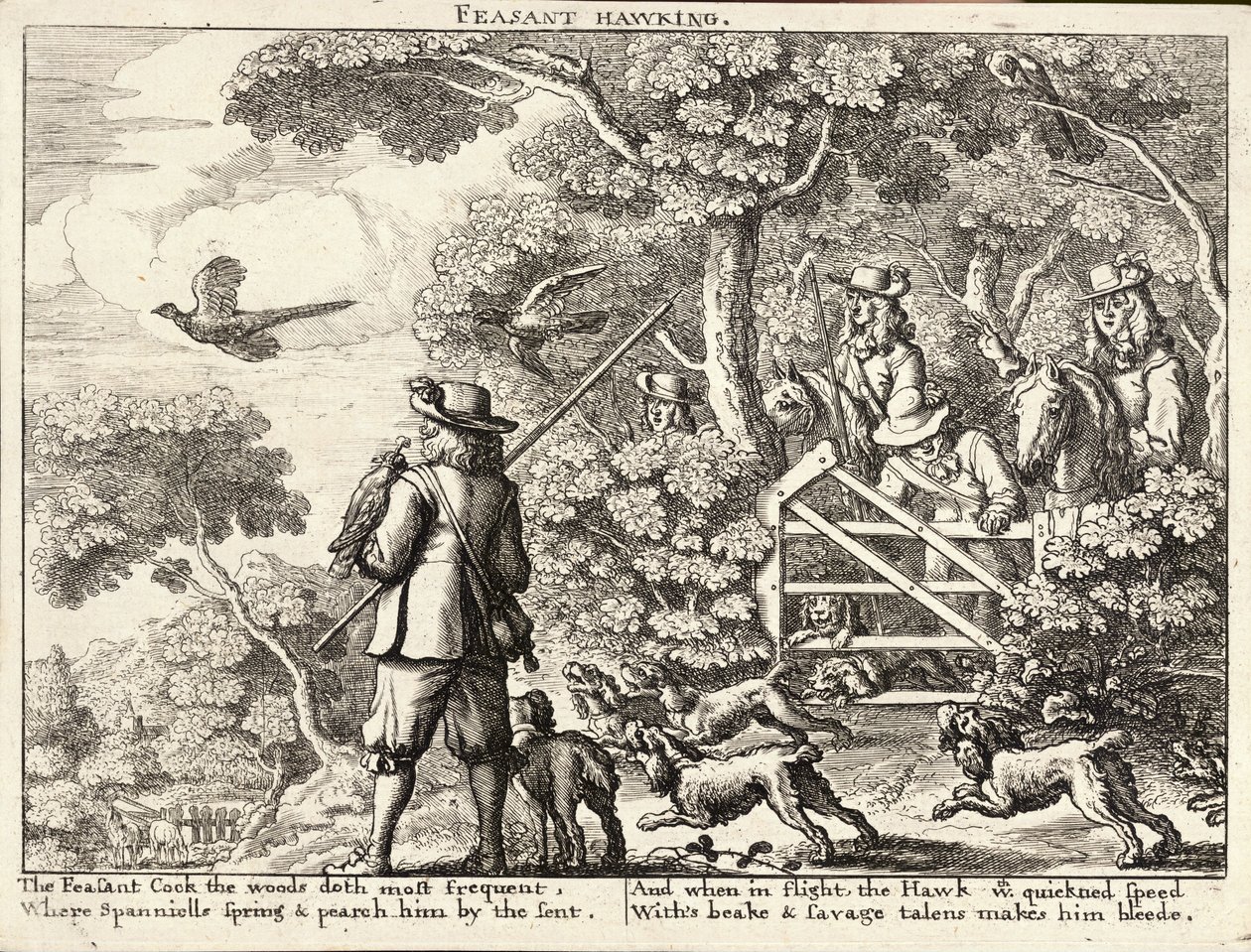 तीतर हॉकिंग द्वारा Wenceslaus Hollar