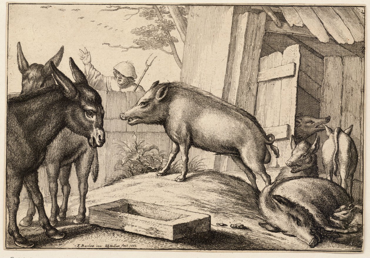 सूअर और गधे द्वारा Wenceslaus Hollar