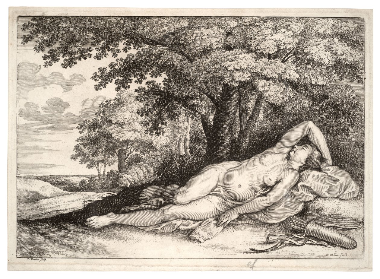 सोती हुई शिकारी। राज्य २ द्वारा Wenceslaus Hollar