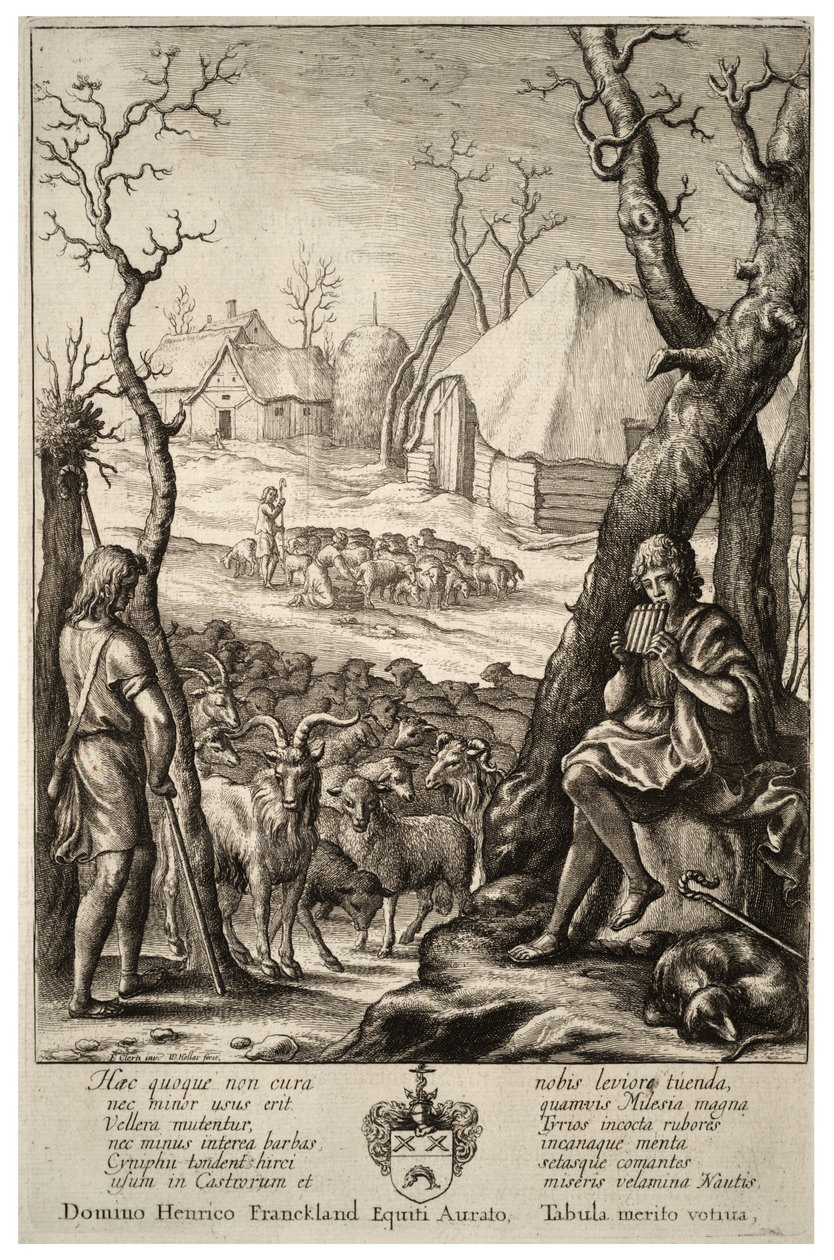 स्टॉक प्रजनन। राज्य १ द्वारा Wenceslaus Hollar