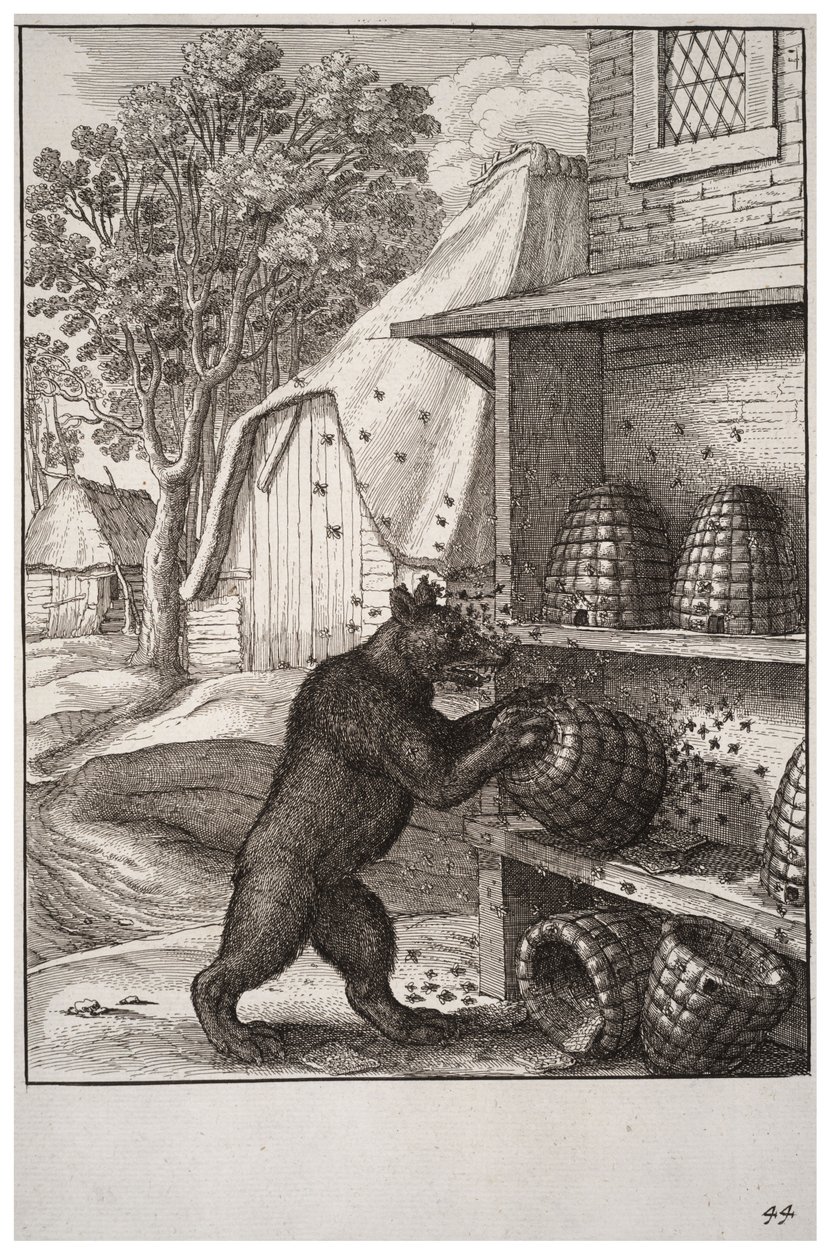 भालू और शहद द्वारा Wenceslaus Hollar