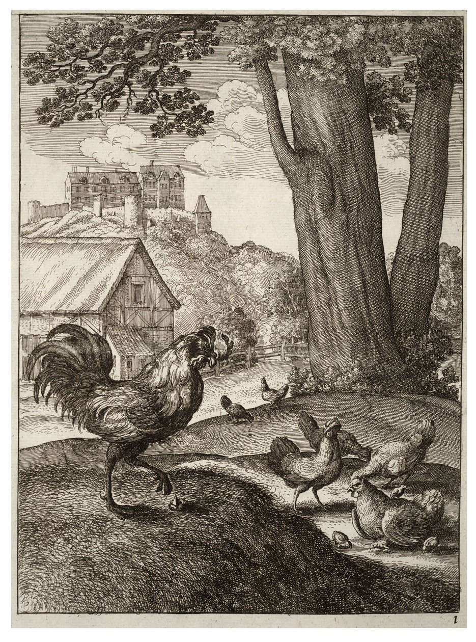 मुर्गा और गहना द्वारा Wenceslaus Hollar