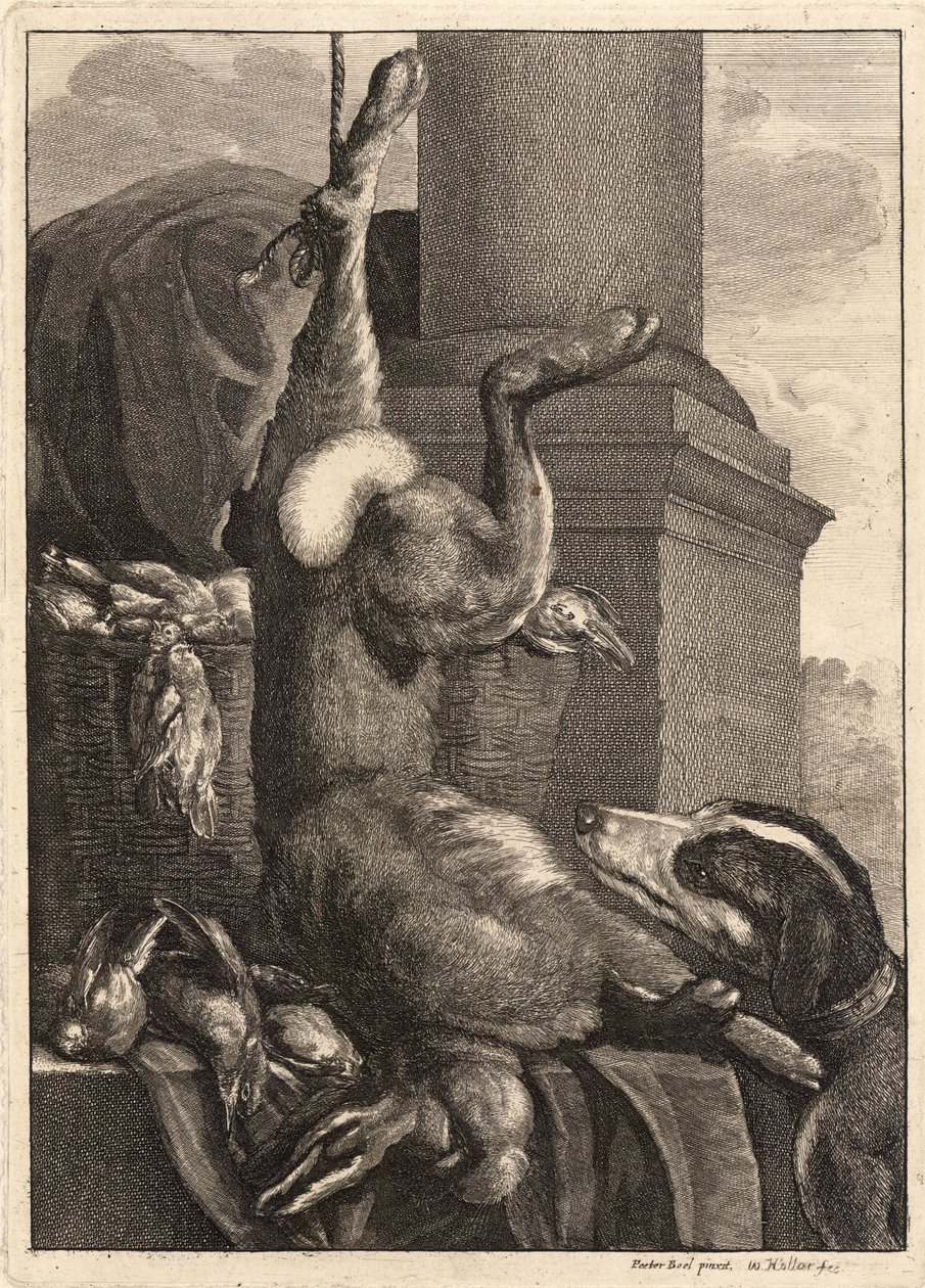 मृतक हरे। राज्य ३ द्वारा Wenceslaus Hollar