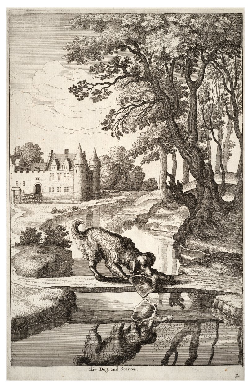 कुत्ता और उसका प्रतिबिंब द्वारा Wenceslaus Hollar
