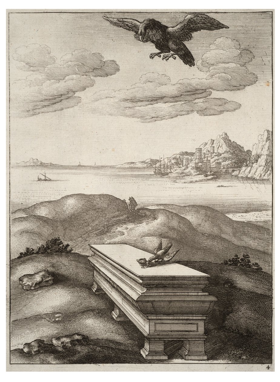 चील और दाऊ द्वारा Wenceslaus Hollar