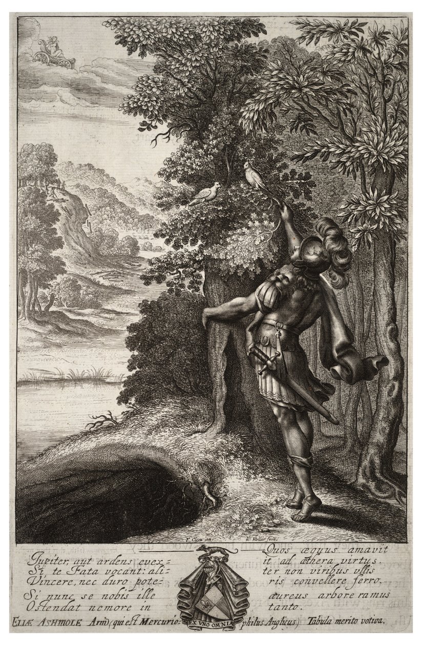 सुनहरी चूतड़। राज्य १ द्वारा Wenceslaus Hollar