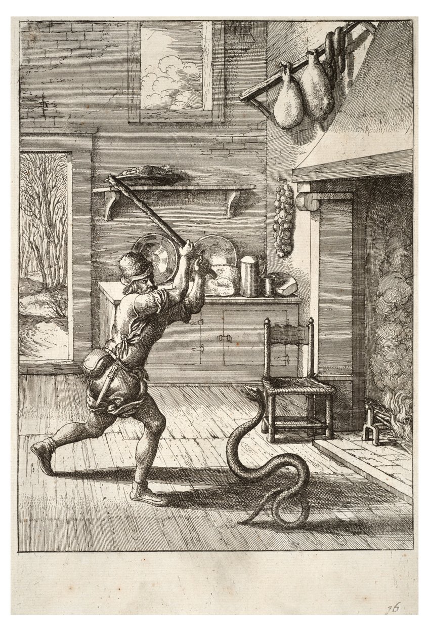 आदमी और साँप द्वारा Wenceslaus Hollar