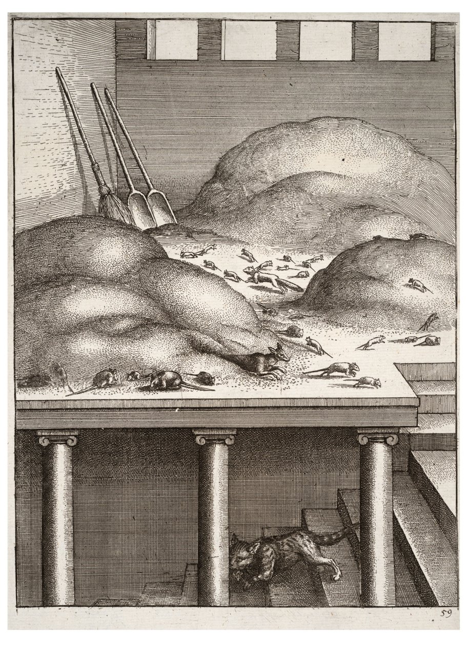 पुरानी नेवला और चूहे द्वारा Wenceslaus Hollar
