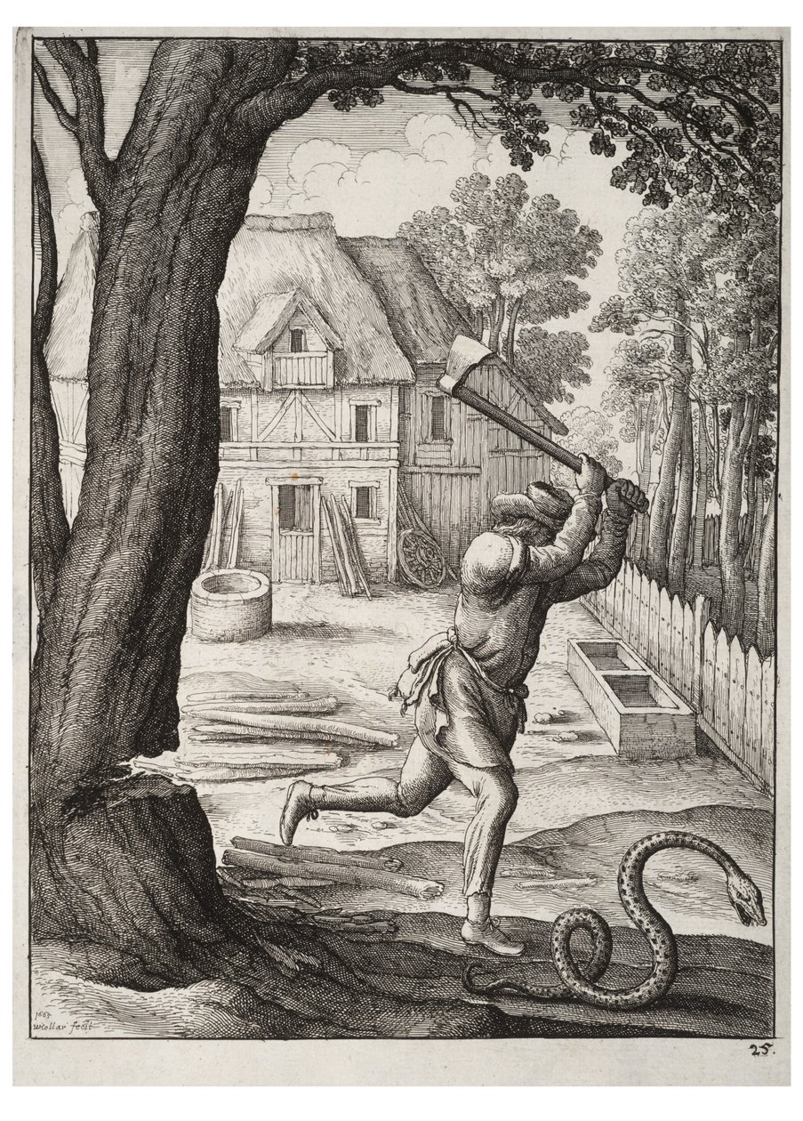 किसान और साँप द्वारा Wenceslaus Hollar
