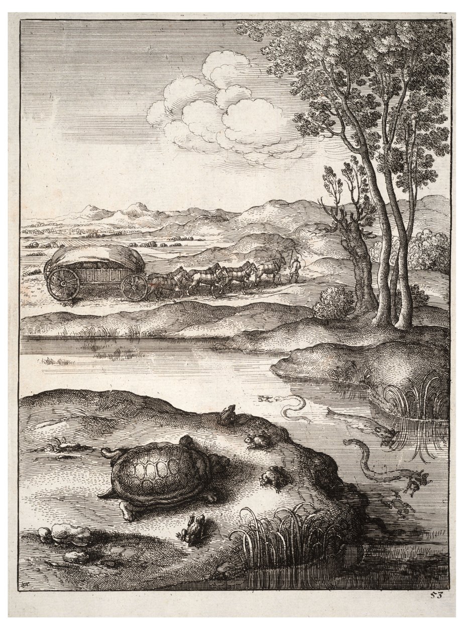कछुआ और मेंढक द्वारा Wenceslaus Hollar