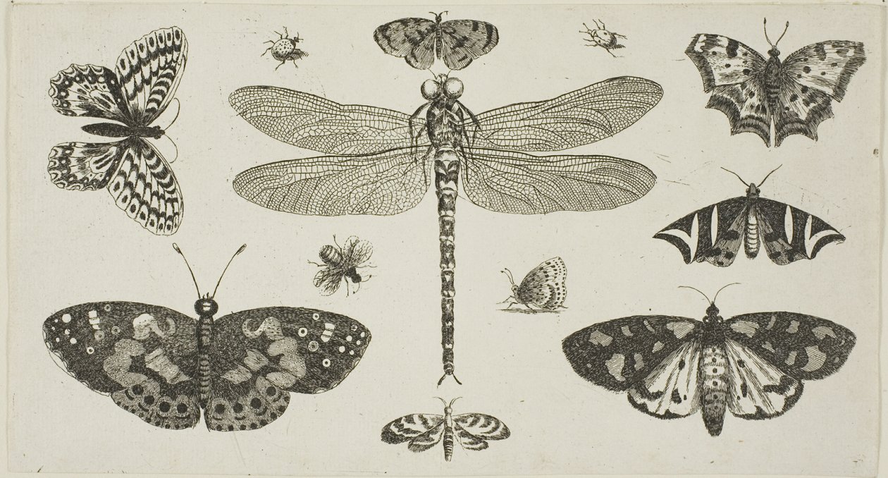  द्वारा Wenceslaus Hollar