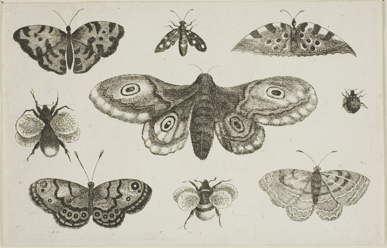  द्वारा Wenceslaus Hollar