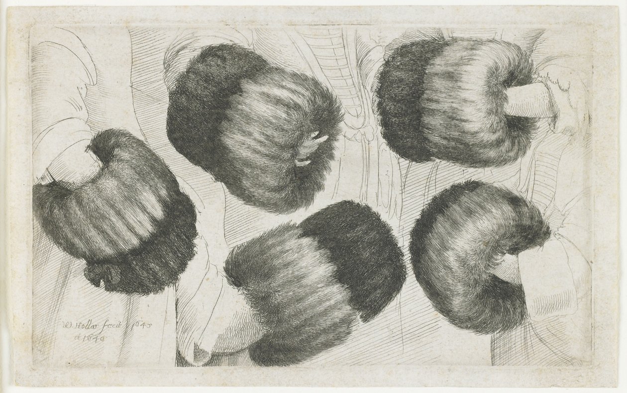 फाइव व्यूज में एक मफ, 1645-1646 द्वारा Wenceslaus Hollar