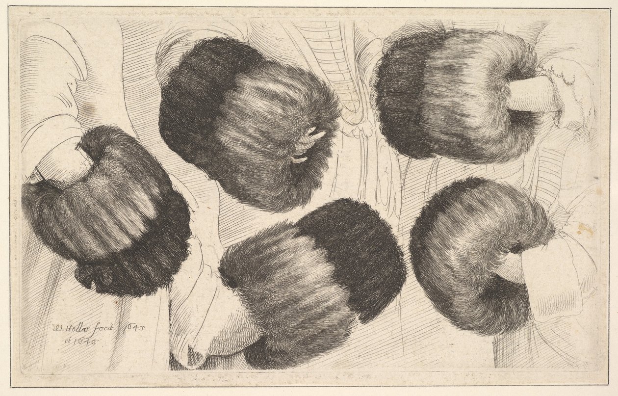 फाइव व्यूज़ में एक मफ, 1645-46। द्वारा Wenceslaus Hollar