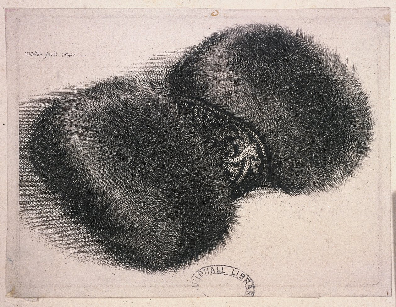 ब्रोकेड के बैंड के साथ एक बड़ा मफ़, 1647 द्वारा Wenceslaus Hollar