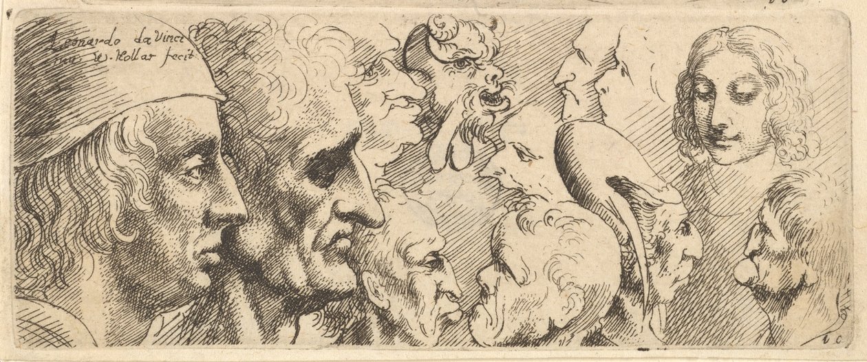 विभिन्न प्रकार के सिर, 1625-77। द्वारा Wenceslaus Hollar