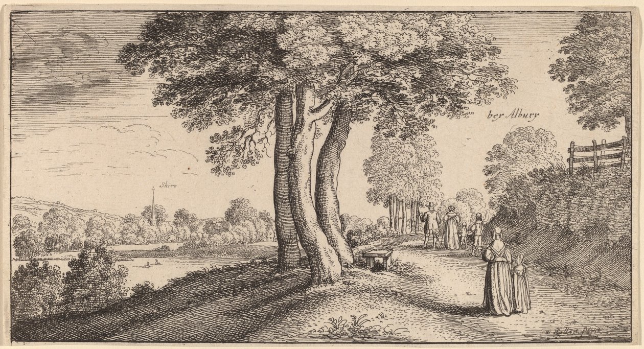 एल्बरी द्वारा Wenceslaus Hollar