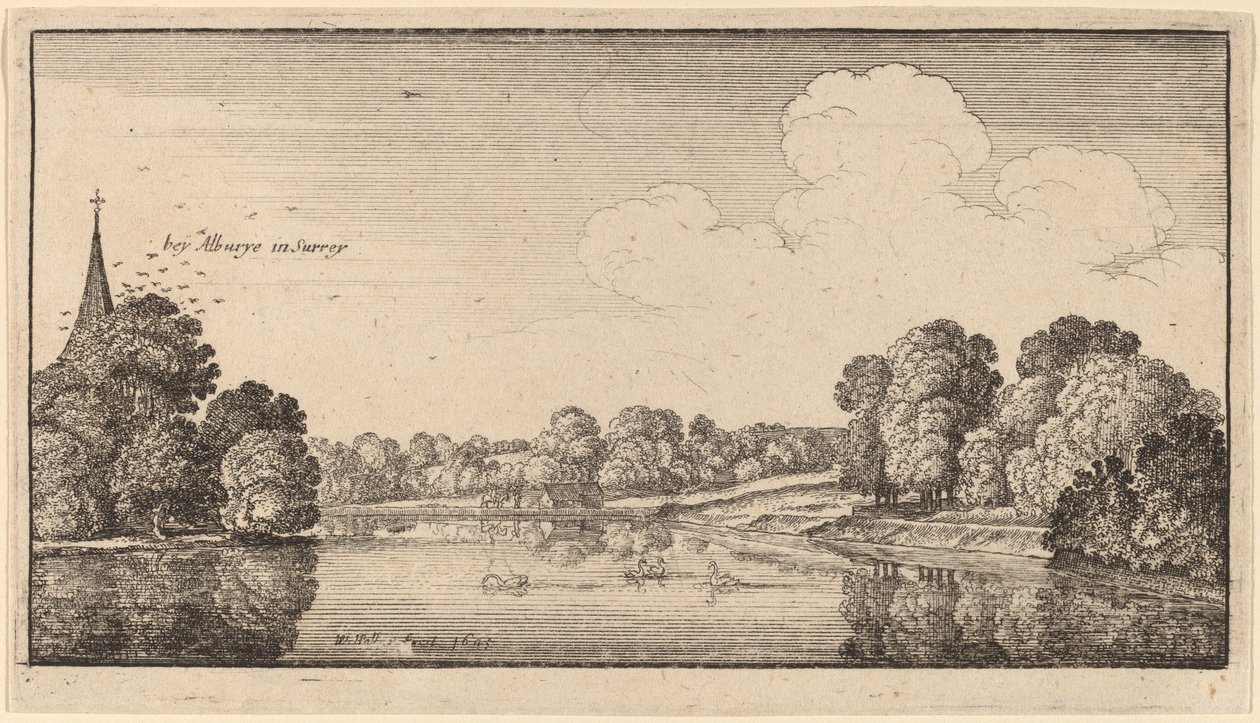 एल्बरी द्वारा Wenceslaus Hollar