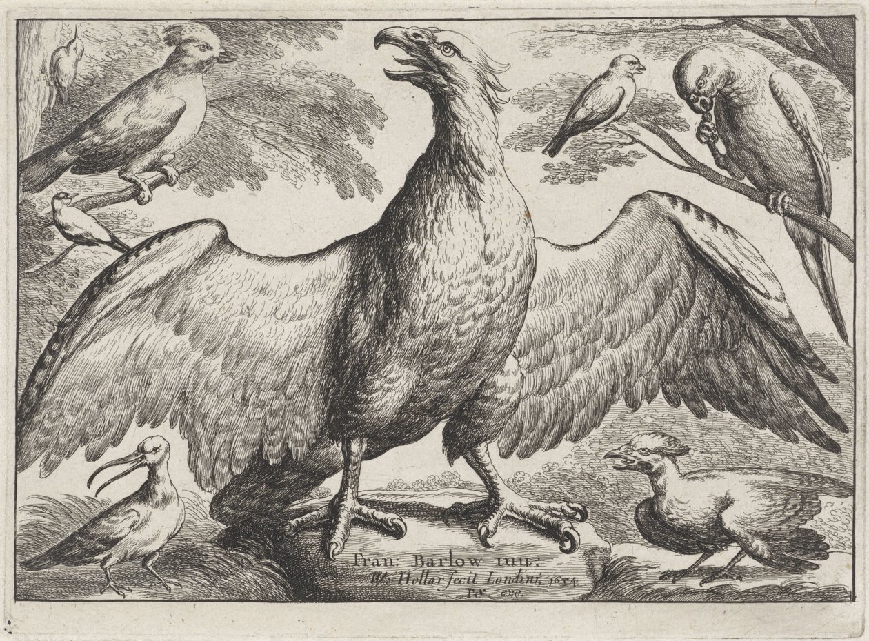  द्वारा Wenceslaus Hollar