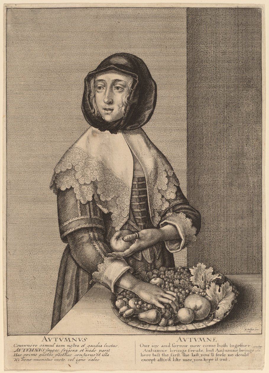 शरद ऋतु द्वारा Wenceslaus Hollar