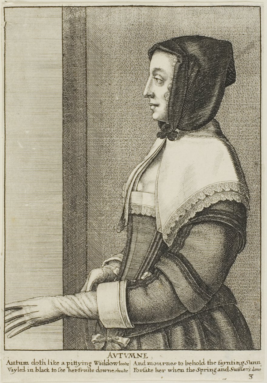  द्वारा Wenceslaus Hollar